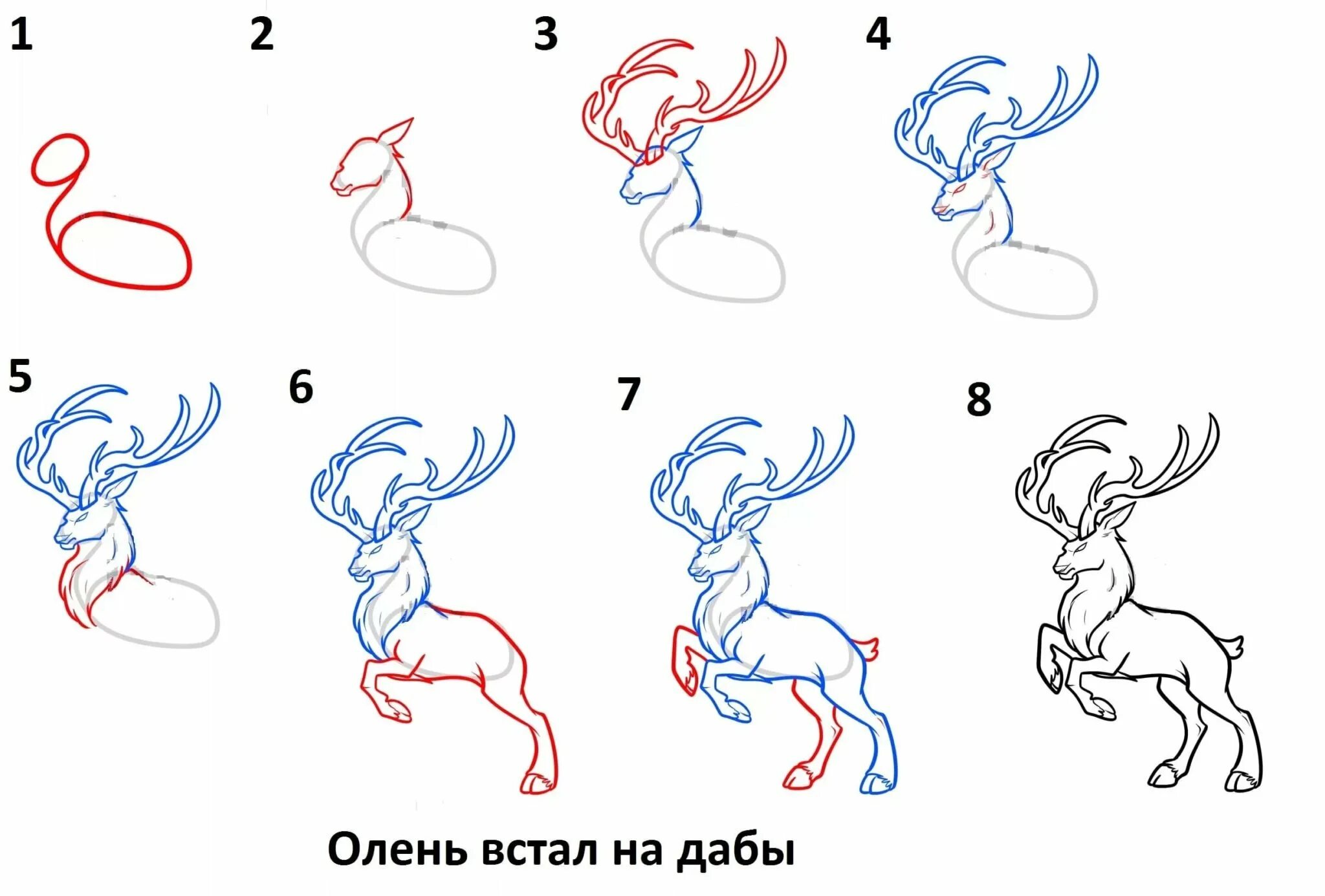 Картинки пошагово для начинающих. Поэтапные рисунки. Поэтапное рисование оленя. Рисунки по этапно для начинающих. Рисование пошагово для начинающих.