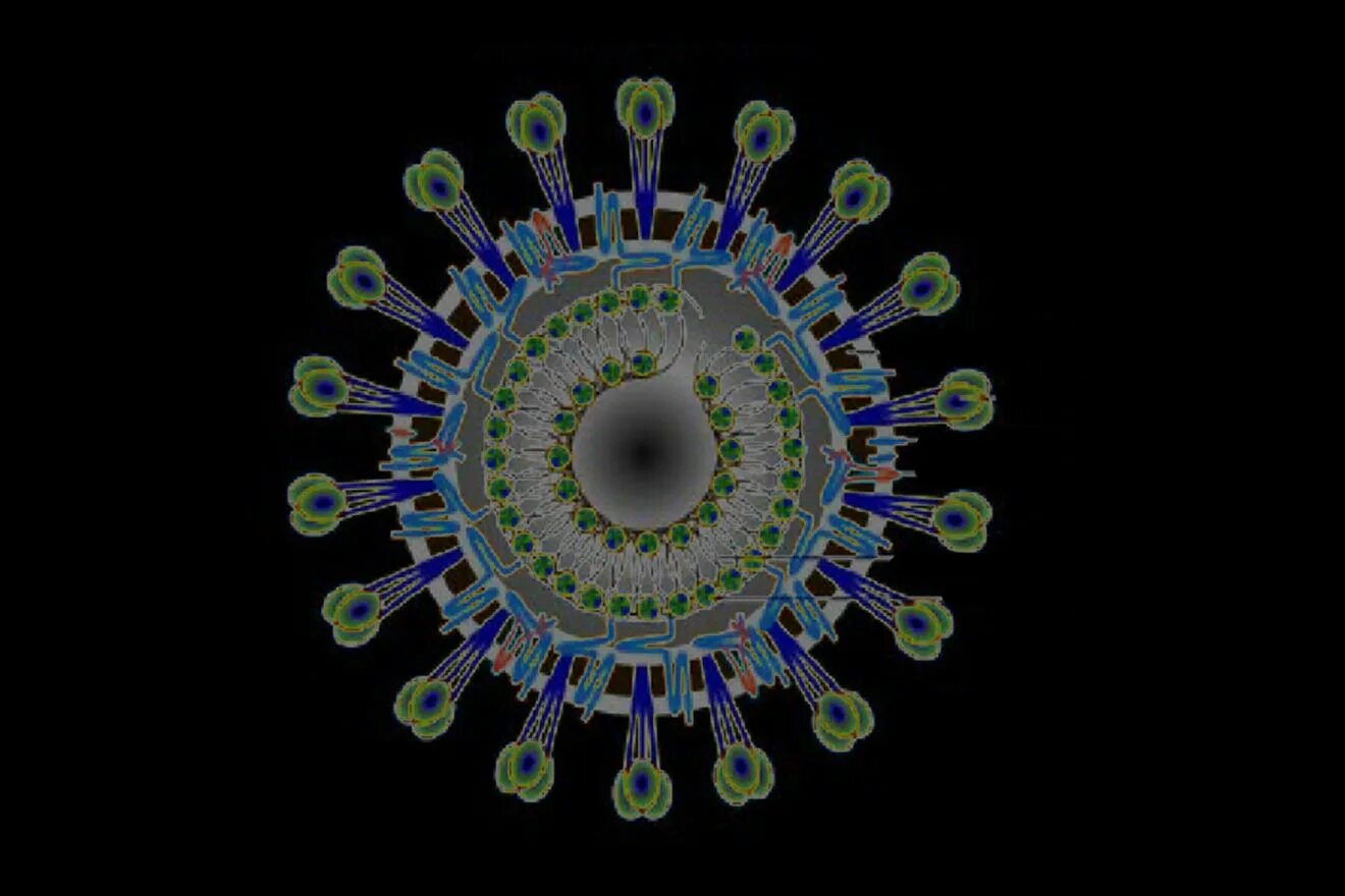 Коронавирус методические. Коронавирусы (подсемейство). Коронавирус картинка на темном фоне. Лондон 2012 коронавирус. Темы для Windows 11 люди коронавирус.