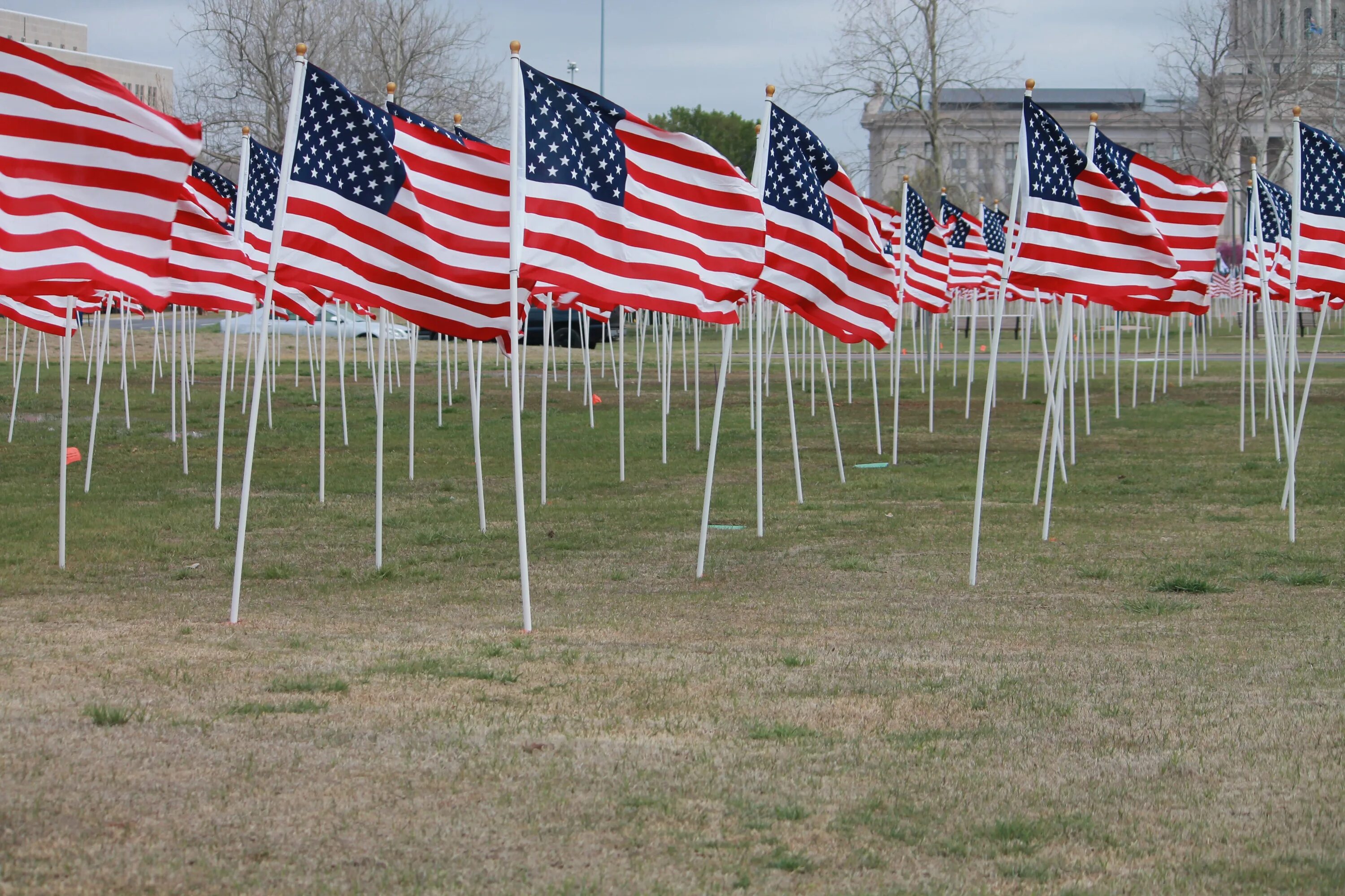 Whose flags are