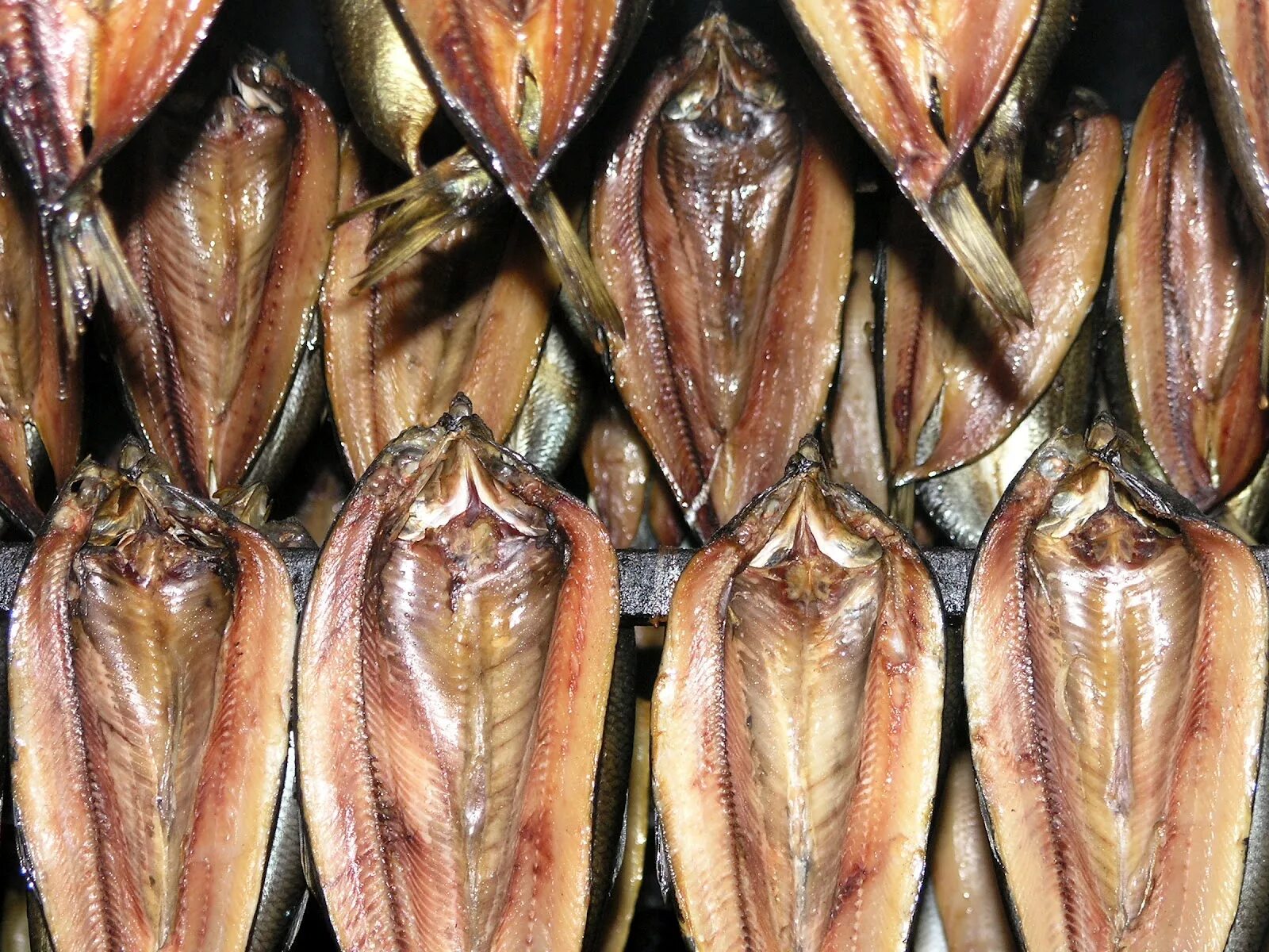 Белый налет на копченой скумбрии. Везти копченую рыбу. Копченая рыба плесень. Плесневение копченой рыбы. Желтый налет на рыбе холодного копчения.