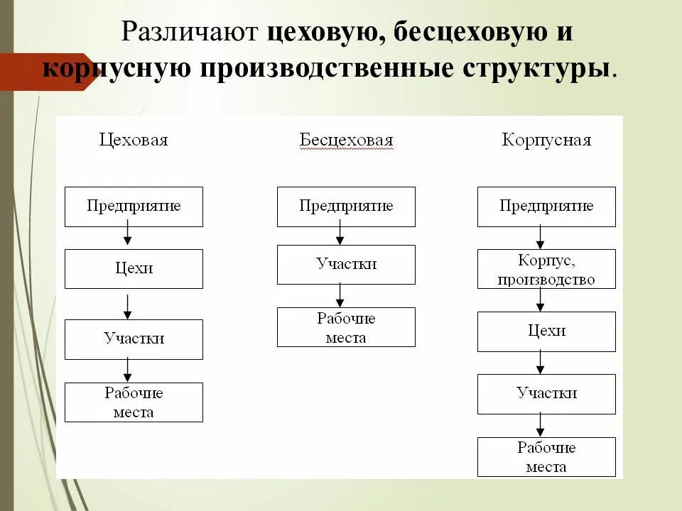 Бесцеховая структура производства схема. Характеристика структуры производства Цеховая бесцеховая. Структура предприятия Цеховая бесцеховая. Схема цеховой структуры предприятия общественного питания. Группы производственных участков