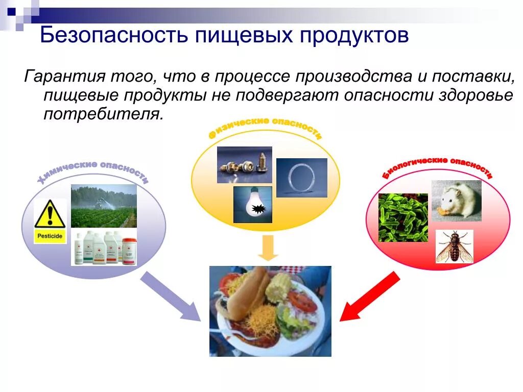 Продукты пищевые информация потребителя. Безопасность пищевых продуктов. Безопасность питания. Безопасность продовольственных товаров. Экологическая и продовольственная безопасность.