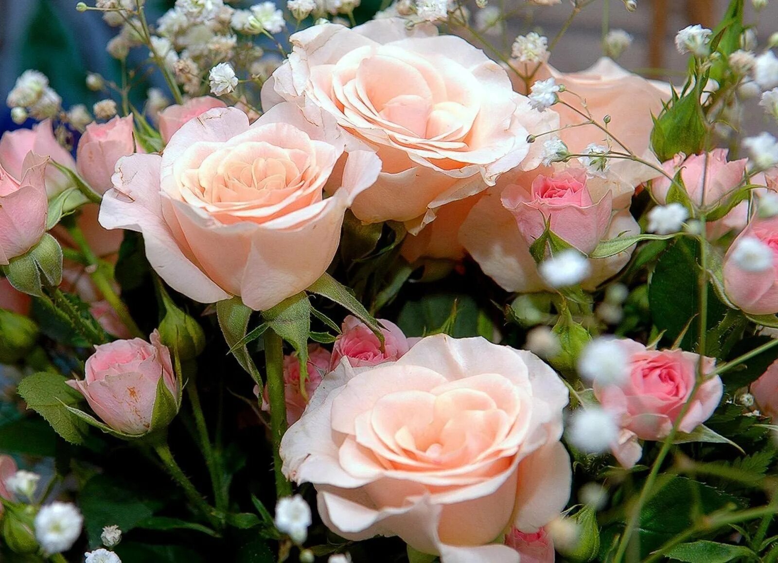 Очаровательный цвет. Шикарные цветы. Нежные розы. Шикарный букет цветов. Нежный цветок.
