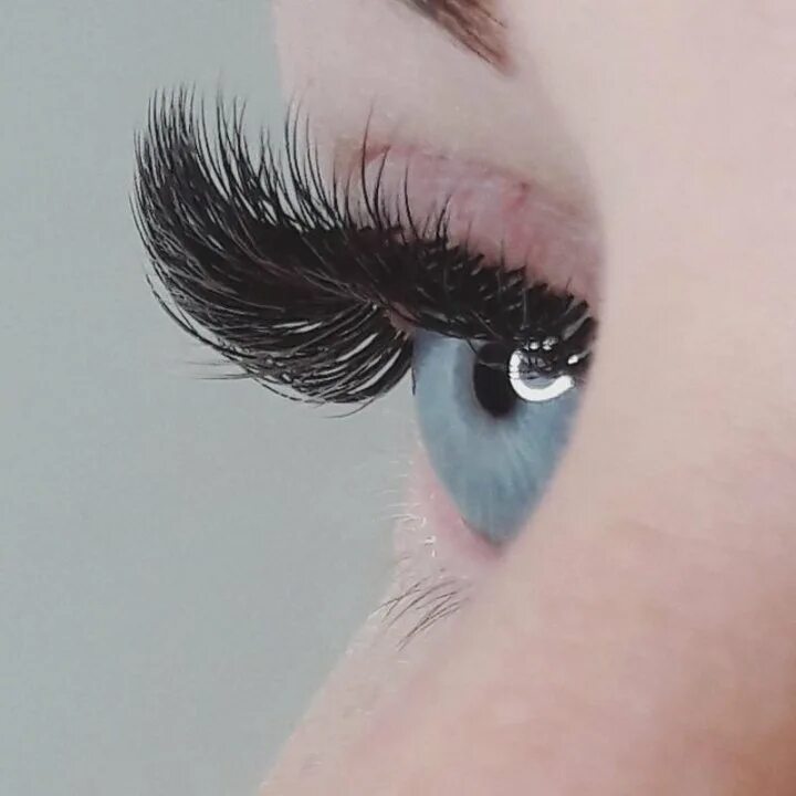 Инста ресницы. Красивые глаза. Анастасия лашмейкер. Расчесывание нарощенных ресниц. Нарисованные брови.
