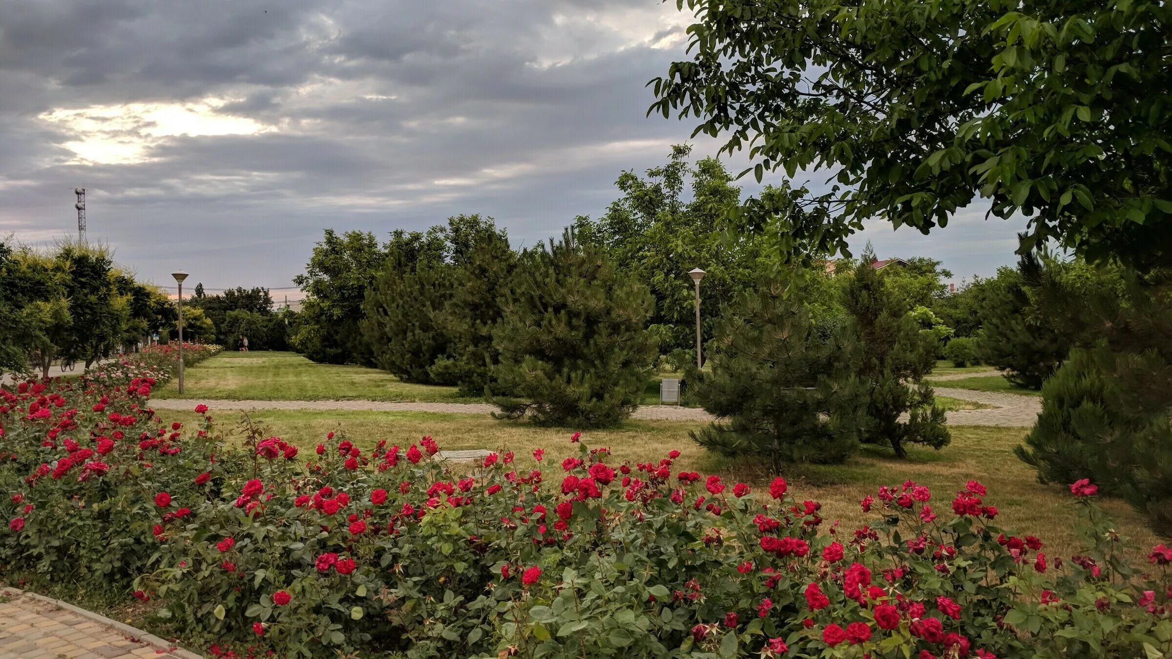 ореховый парк анапа. ореховая роща горячий ключ. ореховая роща анапа. императорский парк анапа. ореховая роща анапа.