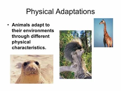 Adapting to the environment