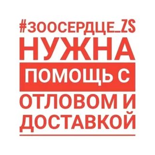 Лови помощи