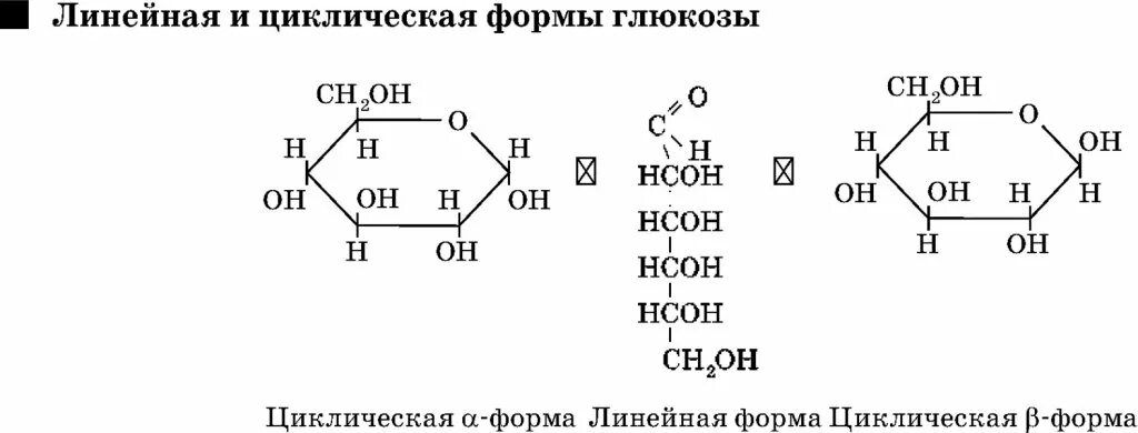 Циклическая молекула глюкозы. Глюкоза линейная и циклическая форма. Структурная форма Глюкозы. Глюкоза структурная формула линейная. Строение Глюкозы линейная и циклическая формулы.