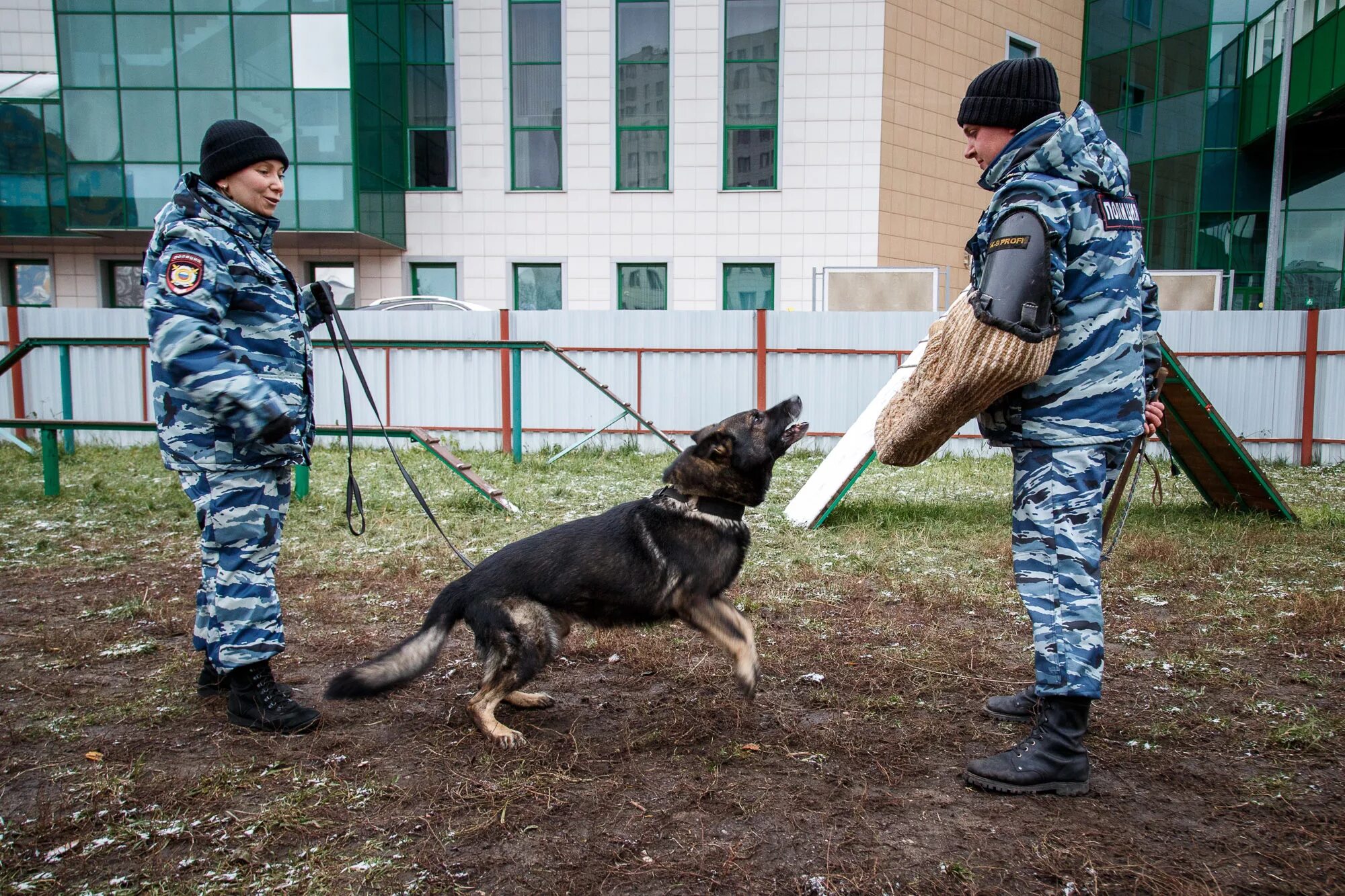 Кинологическая служба россии. Кинологический центр МВД Саранск. Кинологи ФСИН Тулы. Кинологический центр Аргус -м Москва.