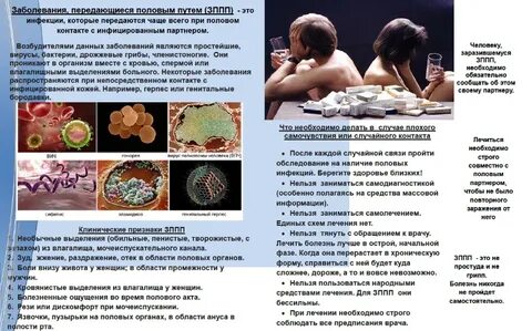 Инфекции иппп