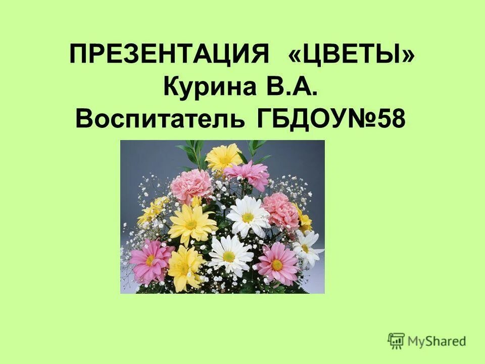 презентация для детей цветы. первоцветы для дошкольников. цветы названия для дошкольников. презентация для детей цветы. презентация на тему цветы.