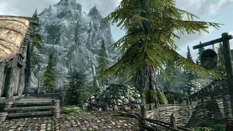 Skyrim revolution