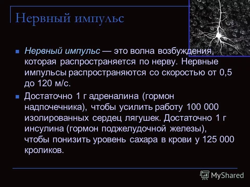 Распространение нервного импульса по аксону. Передача импульса через синапс с химическим механизмом. Схема проведения нервного импульса. Нейрон клетка головного мозга. Нейроны передающие нервные импульсы.