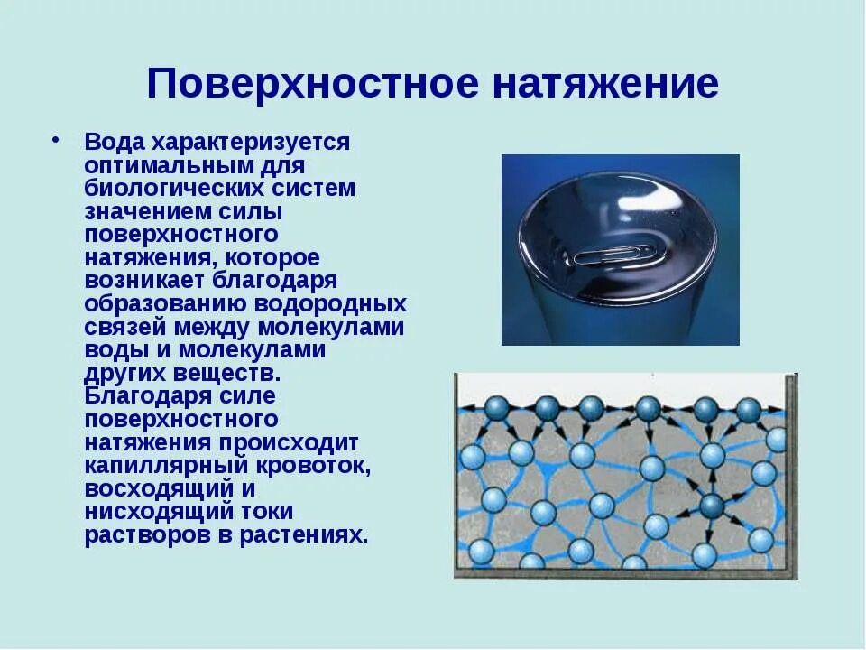 Поверхность натяжения воды. Сила поверхностного натяжения воды значение. Поверхностное нватяжениводыв. Поверхностное натяжение жидкости. Поверхностное напряжение воды.