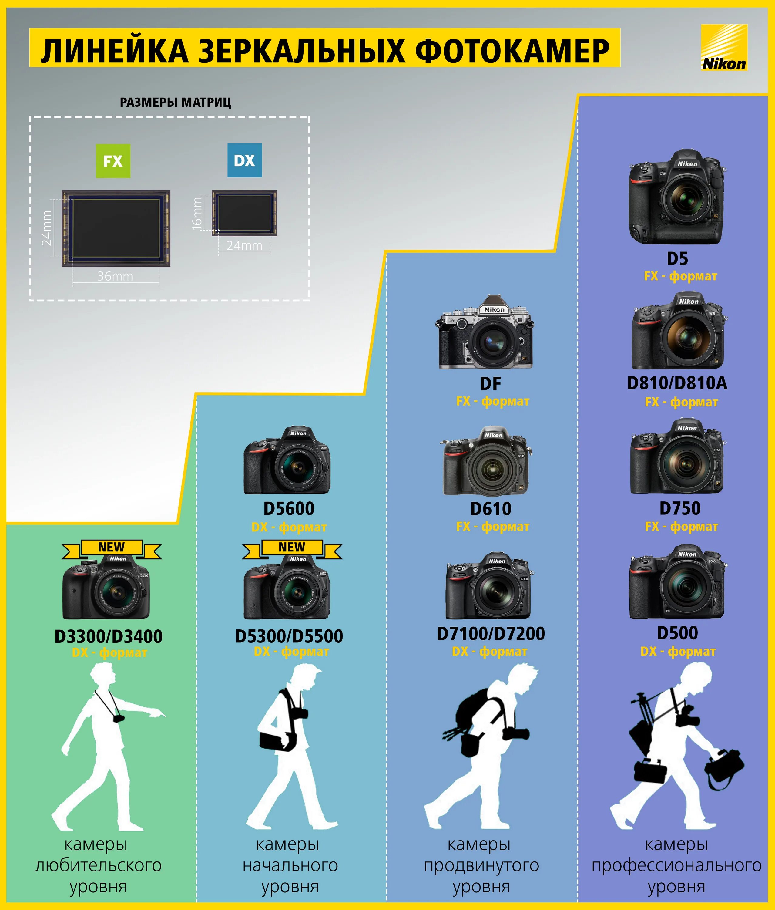 В каком году вышли камеры. Canon линейка фотоаппаратов 2022. Линейка зеркальных фотоаппаратов Nikon. Линейка зеркальных фотоаппаратов Canon по годам.