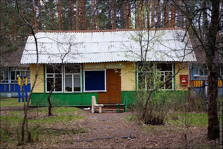 Дол дзержинец. Пионерский лагерь Дзержинец. Лагерь Дзержинец Нижегородская область. Пионерский лагерь Дзержинец Новосибирск. Пионерский лагерь Дзержинец в Каркаралинске.