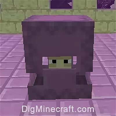 Shulker preview