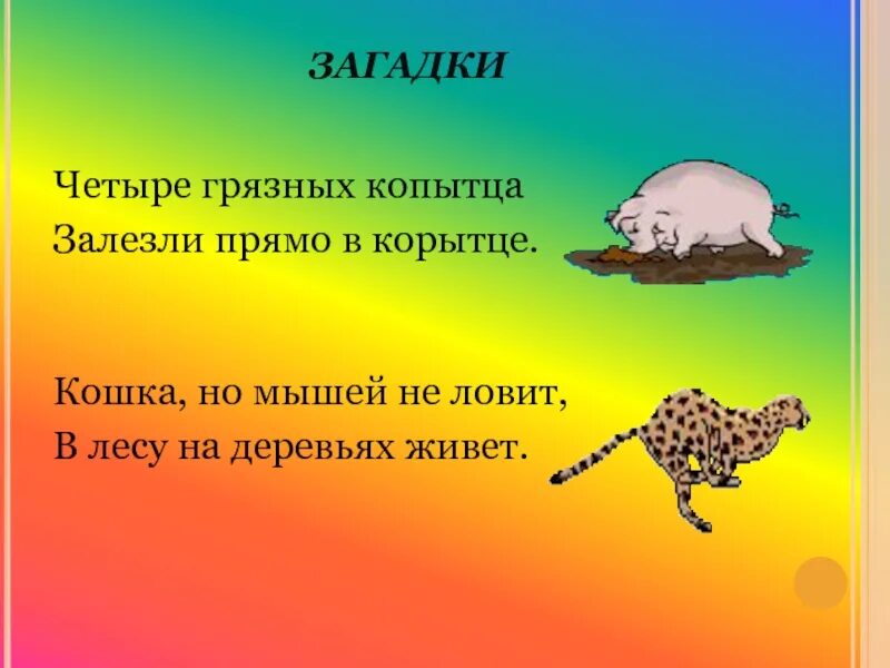 Загадка 4 пачки. 4 Загадки 4 кошки. Что за кошка мышей в доме не ловит а в лесу на деревьях живет ответ. Четыре копытца залезли в корытце ответ. Четыре грязных копытца залезли прямо в корытце ответ загадка.