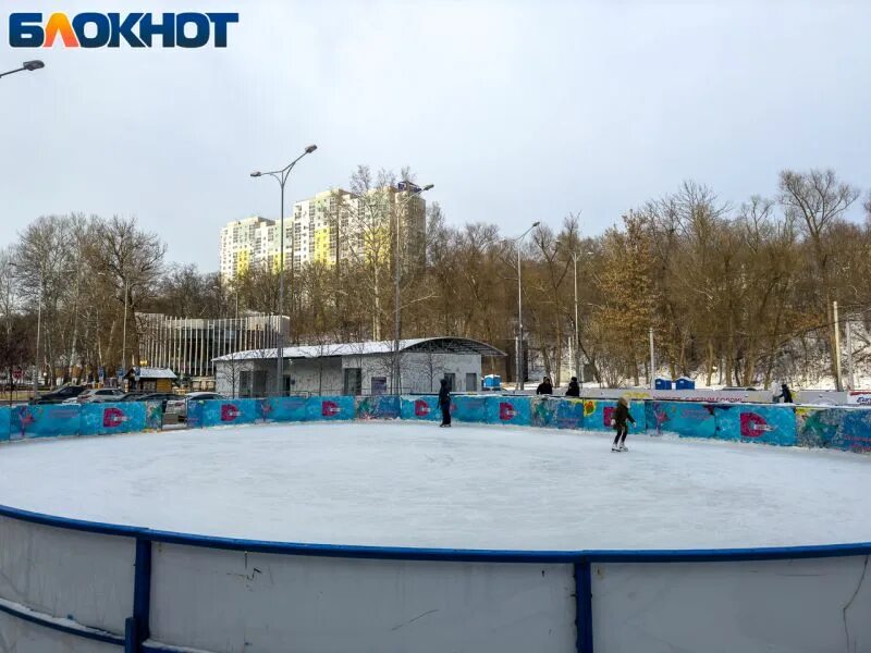 Каток в Центральном парке Воронеж. Каток Динамо Воронеж. Каток парк Алые паруса Воронеж. Каток Дельфин Воронеж. Каток дельфин расписание