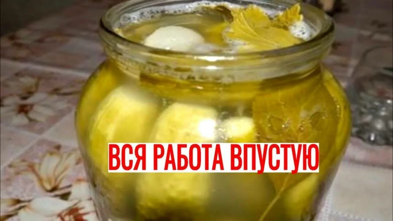 Огурцы взорвалась банка. Огурцы взорвались в банке. Маринованные огурцы рассол. Лопнула банка с огурцами. Вздутая банка с огурцами.