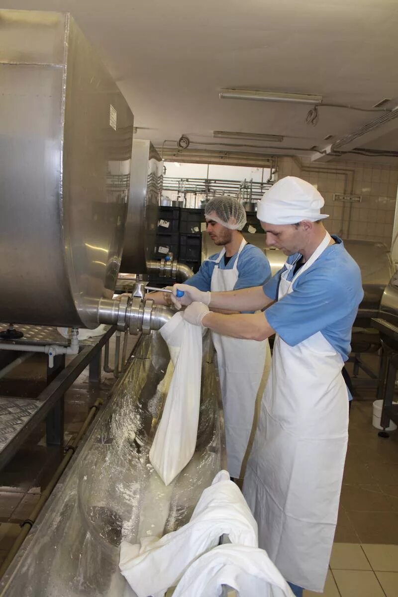 молокозаводы брянская область