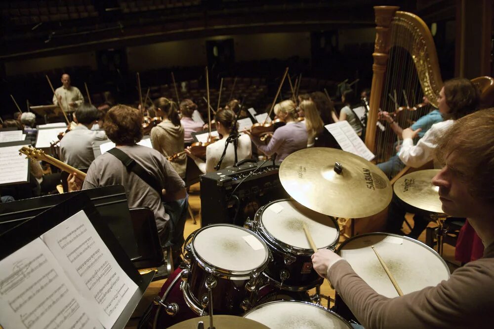 Orchestra performance