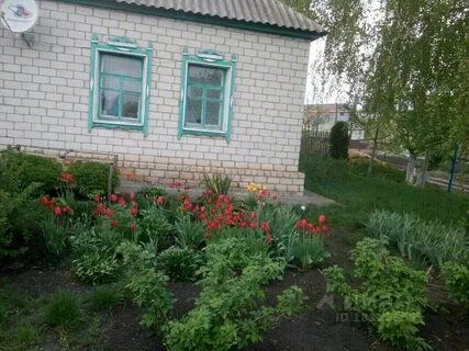 Авито кшенский