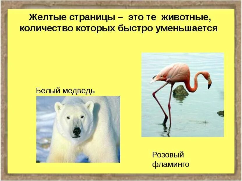 Количество животных уменьшается