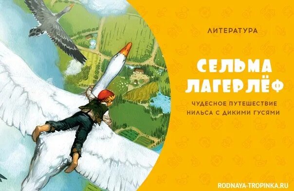 Сельма лагерлёф «чудесное путешествие Нильса». Чудесное путешествие Нильса с дикими гусями Сельма лагерлёф книга. Сельма лагерлёф «чудесное путешествие Нильса» (1907 год);. Сельма Лагерлеф чудесное путешествие с дикими гусями. Автор нильса с дикими