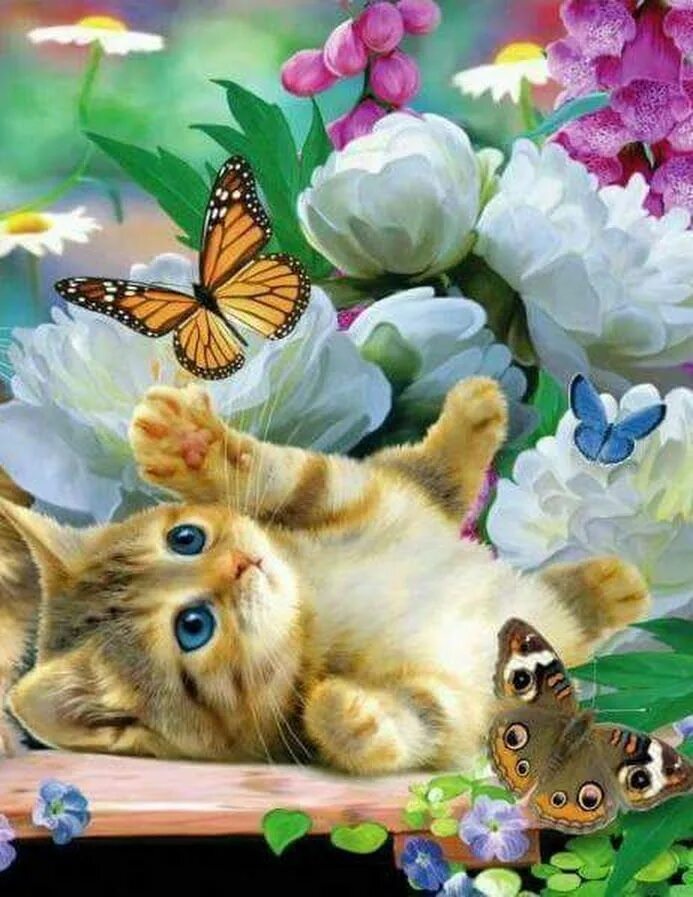 Анимированный котенок. Котенок с бабочкой. красивые котята с бабочками. кот в бабочке с цветами. мерцающие котята.