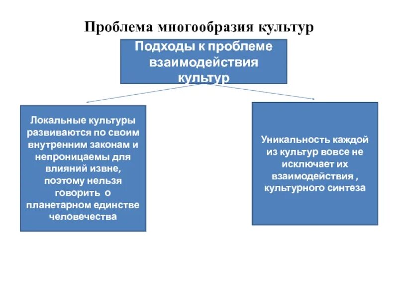 Локальная культура. Проблема многообразия культур. Проблема взаимодействия культур. Локальные подходы культуры.