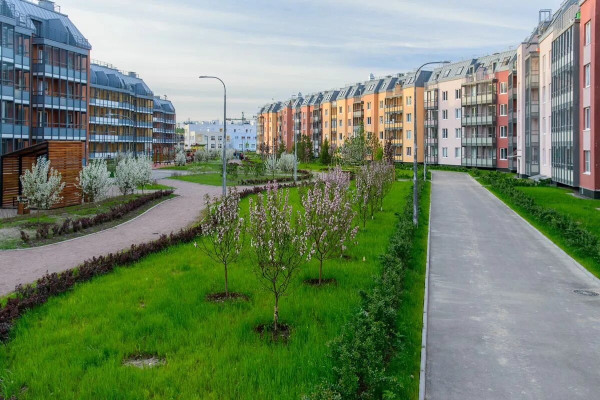 Ход строительства ЖК "Зеленый квартал" от января 2025 года - 2909 фото Зеленого 