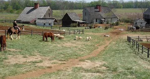 Farm living