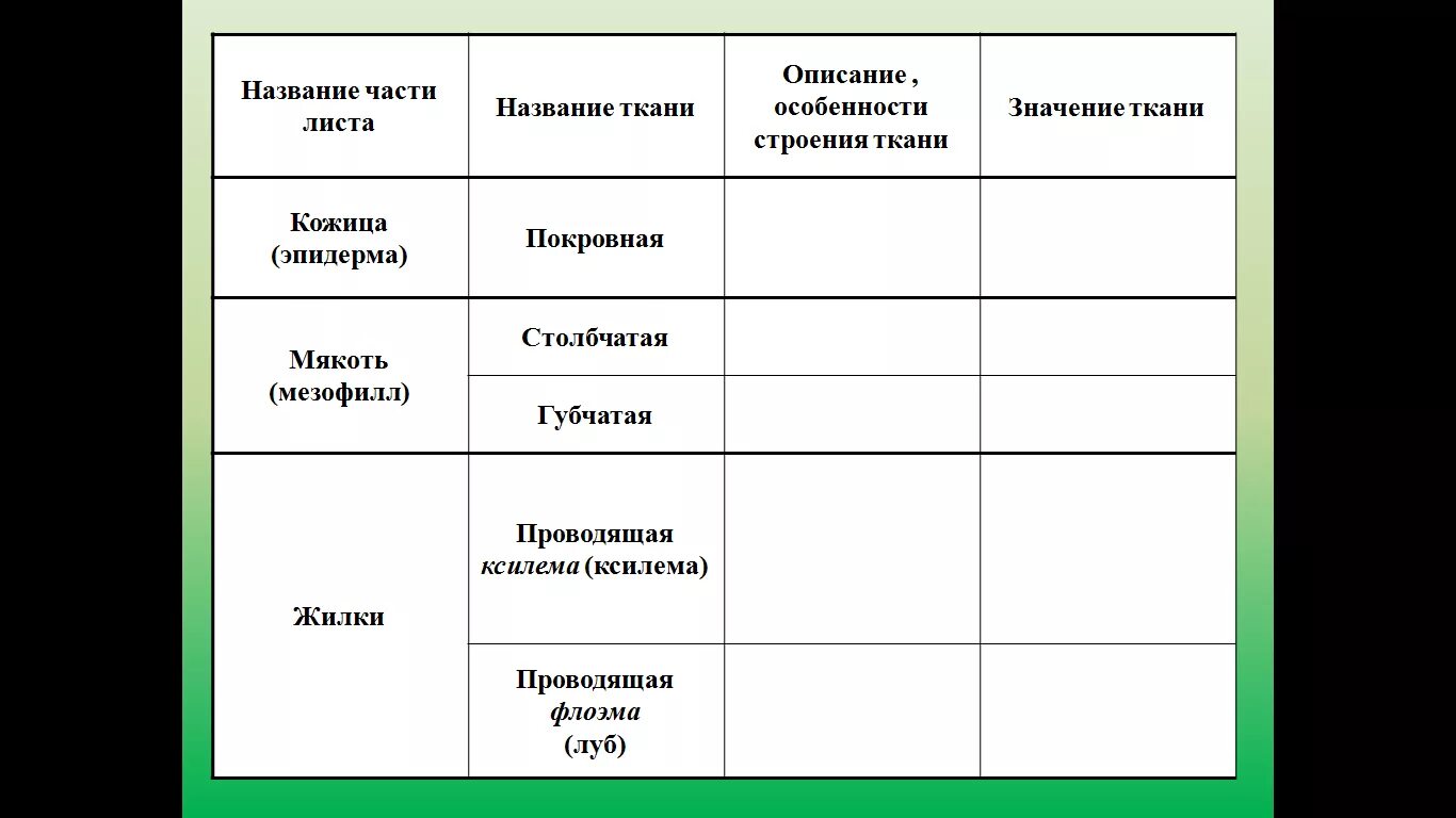 Биология 6 класс функция листьев. Внутреннее строение листа таблица биология. Таблица по биологии внутреннее строение листа. Таблица структура листа. Утренние строение листа таблица.