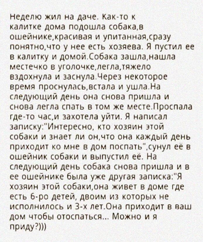 Неделю жил на даче как-то к калитке дома подошла собака. Пес приходил поспать. Собака приходит поспать анекдот. Анекдот про собаку которая приходила спать. Вот уже две недели живу