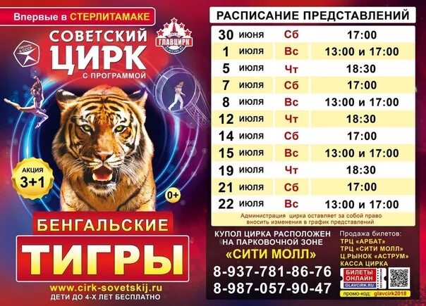 Цирк томск 2023. Цирк волжский шоу тигров 2021. расписание представлений. график представлений в цирке. цирк в салавате.