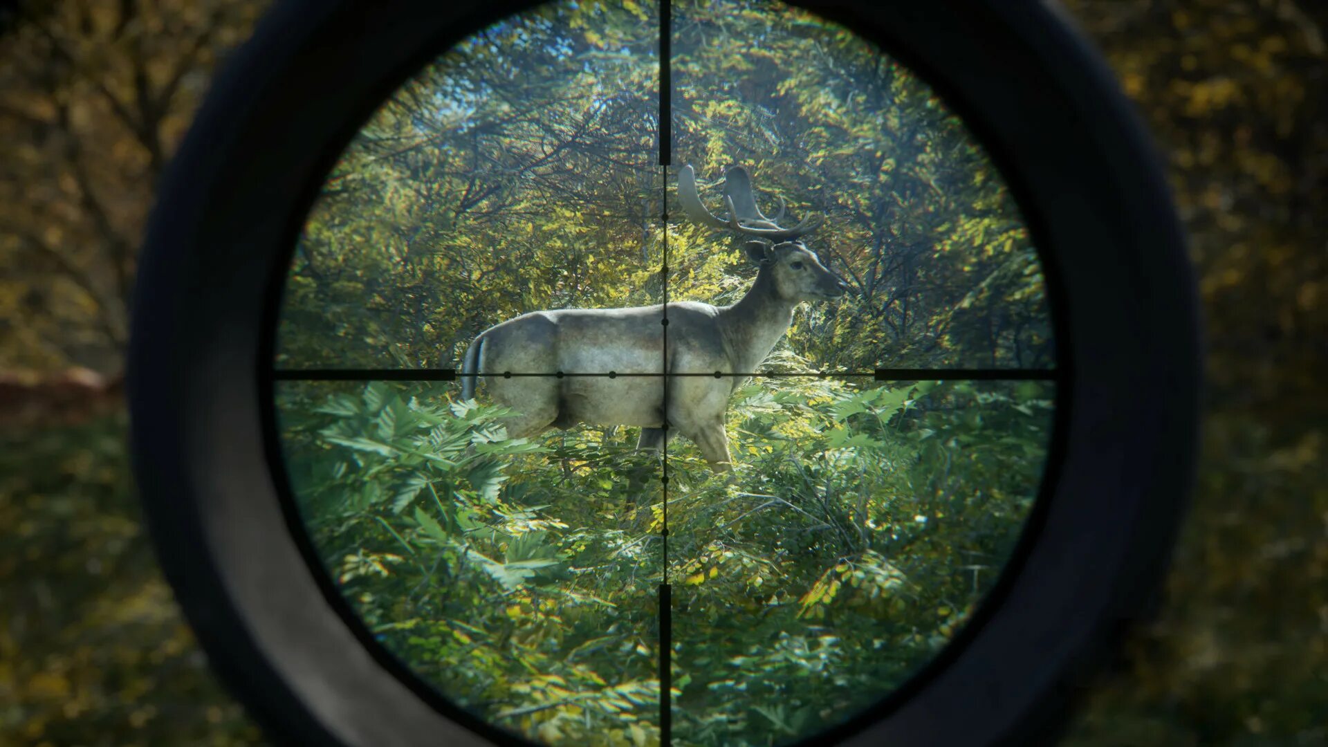 Call of the wild freetp. Thehunter call. hunter игра. thehunter: call of wildness. the hunter call of the wild пс 4.