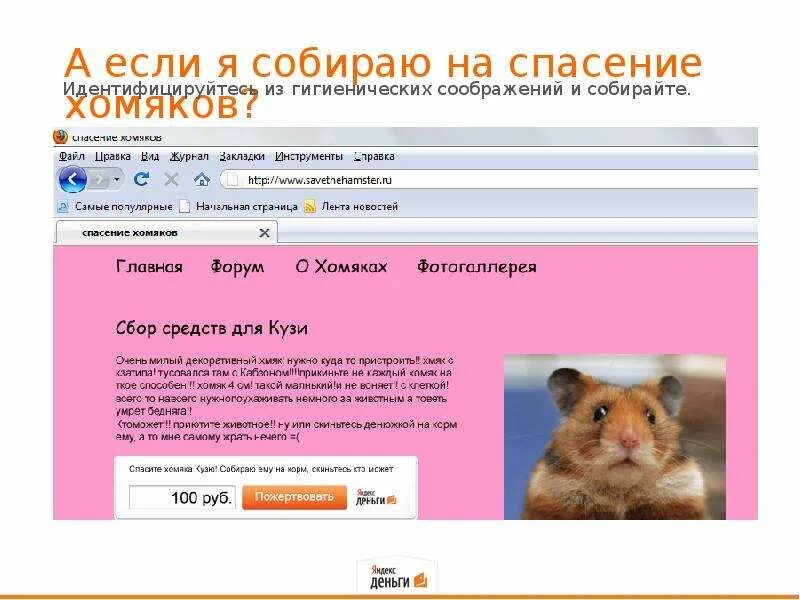 Спаси хомячка. Хомячок Спасите. Спасти хомяка. Хомяк Спаси. Спасение хомячков.