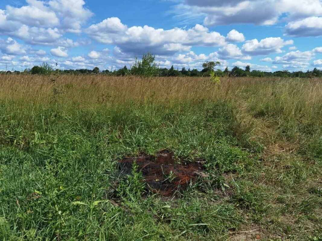 Деревня Неппово Кингисеппского района. Поля в Кингисеппском районе. Поселок Котельский Ленинградская область. Вытоптанное поле. Погода в котельском