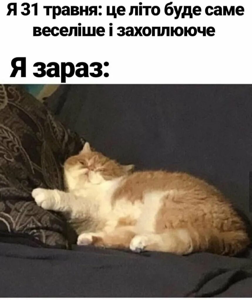 Минусы выходных. Минус-плюс. Минусы выходных. Цитаты про выходные. В выходной ничего не хочется делать.