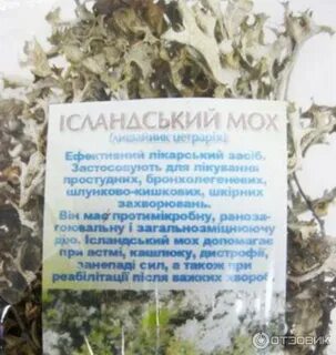 Исландский мох таблетки применение