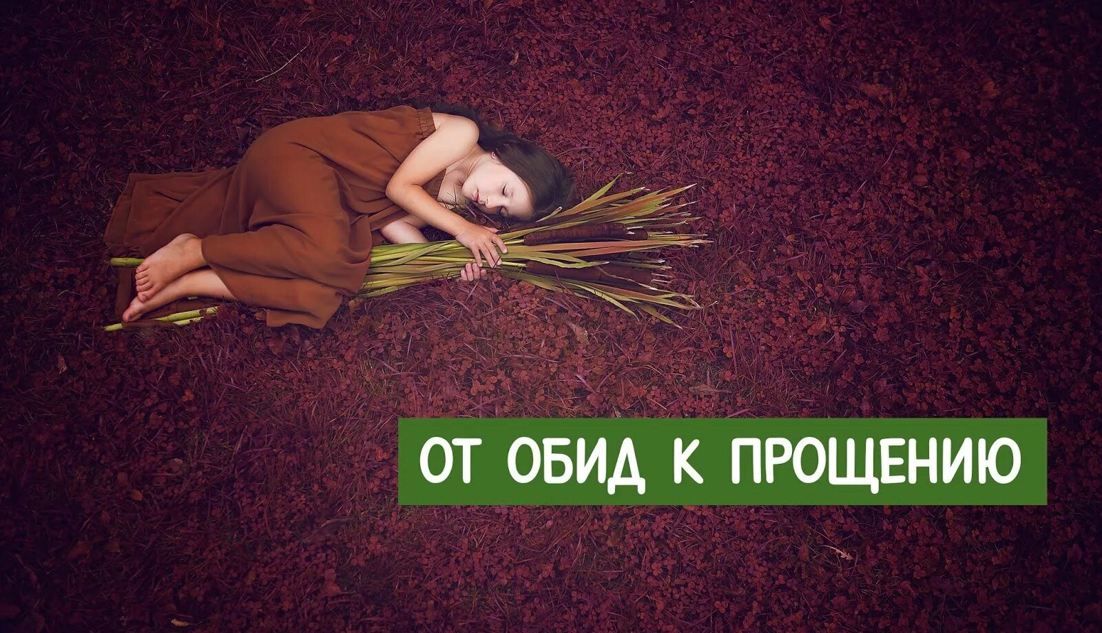 Смывать обиду. Прощение обид. Простить обиду. Прости обидчика. Избавление от обид.