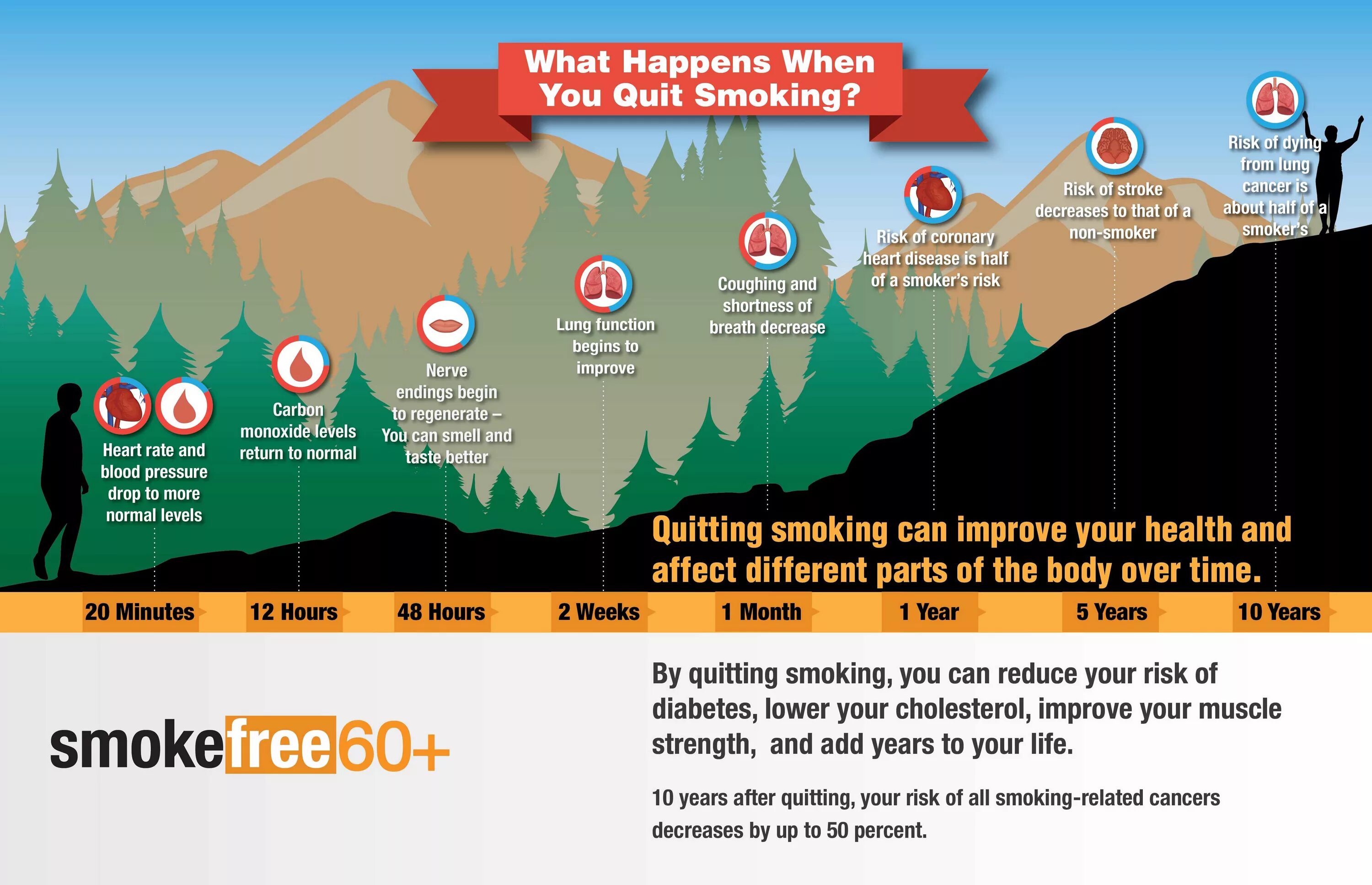 This is what happens when. Health benefits of quitting smoking. what happens after quitting smoking.