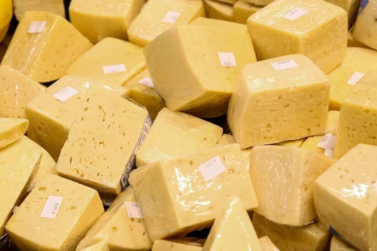 Какой купить сыр для сырного. Производство сыров. Сырное производство. Сыр производители. Производство сыра.