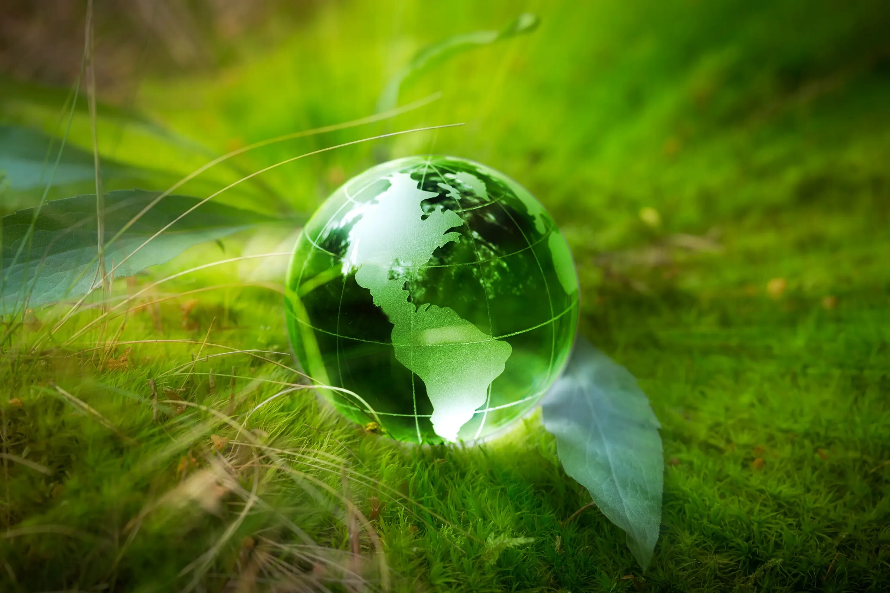 Полностью зеленый мир. Зеленый мир картинки. Глобус на зеленом фоне.