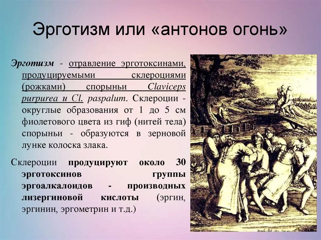 Антонов заболел. Эрготизм. Спорынья эрготизм отравление. Эрготизм Антонов огонь. Отравление спорыньей симптомы.