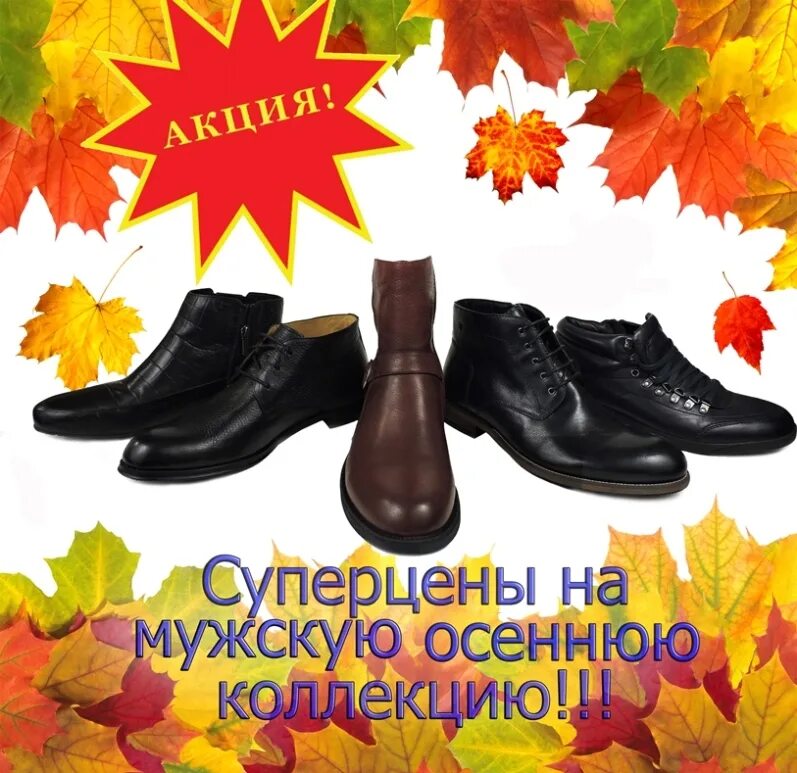 распродажа осенних ботинок. ботинки на осень. распродажа осенних ботинок. осенняя коллекция обуви. акции на обувь в магазинах.