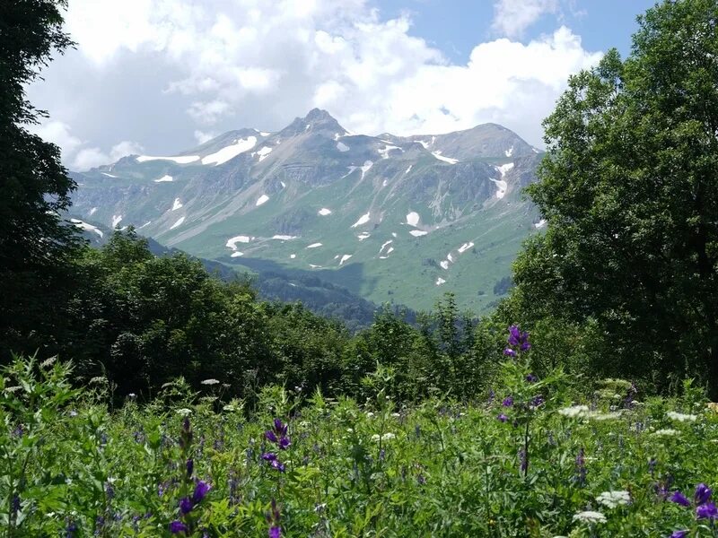 Заброска каменномостский. Яровая Поляна Гузерипль. Яворова Поляна Адыгея. Яровая Поляна Лагонаки. Яворовая Поляна Гузерипль.