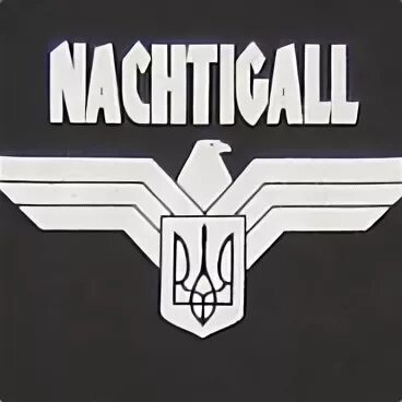Нахтигаль эмблема. Nachtigall песни. Nachtigall. Nachtigall песни. Nachtigall песни.