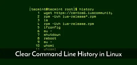 Bash history